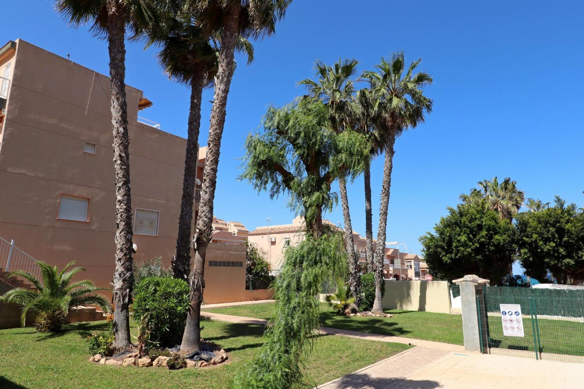 Apartamento Casa De Alba Cabo Cervera La Mata Torrevieja Exterior foto